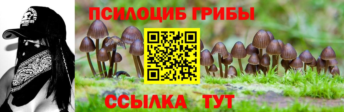 Белорецк  Галлюциногенные грибы Magic Shrooms  Вход с VPN 